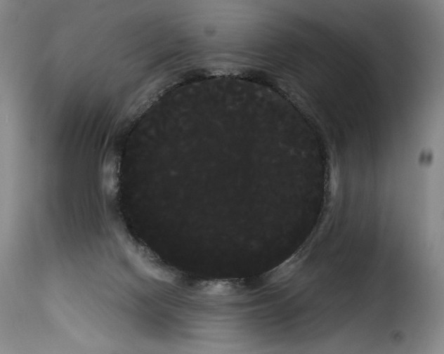 X0000114190074200911200946