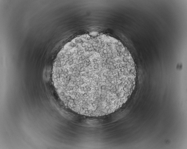 X0000114190075200911200946