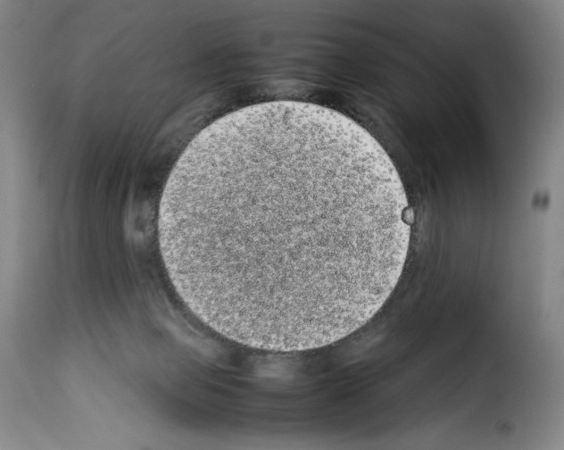 X0000114190077200911200946