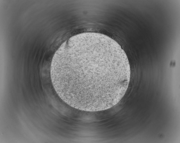 X0000114190078200911200946