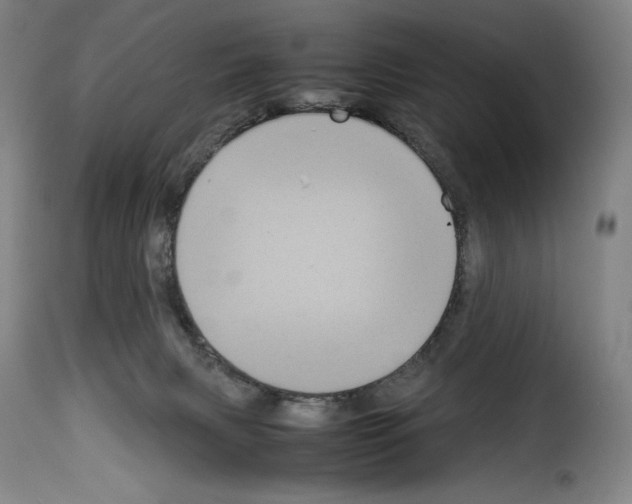 X0000114190079200911200946