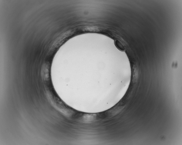 X0000114190080200911200946