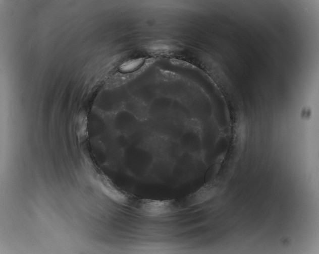 X0000114190081200911200946