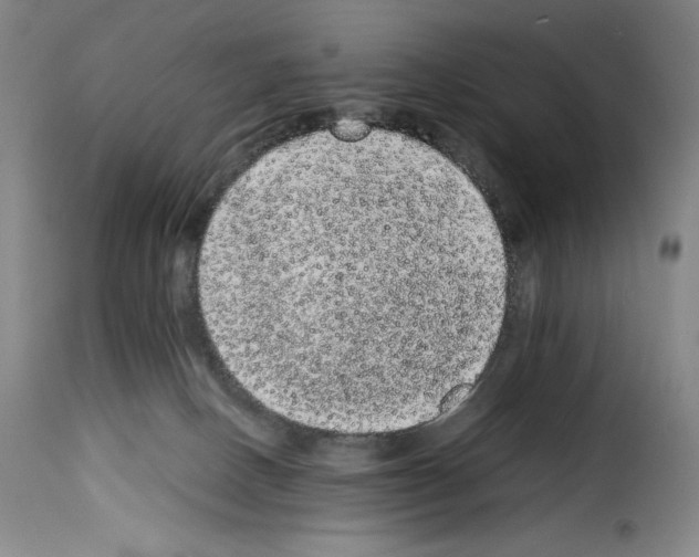 X0000114190082200911200946