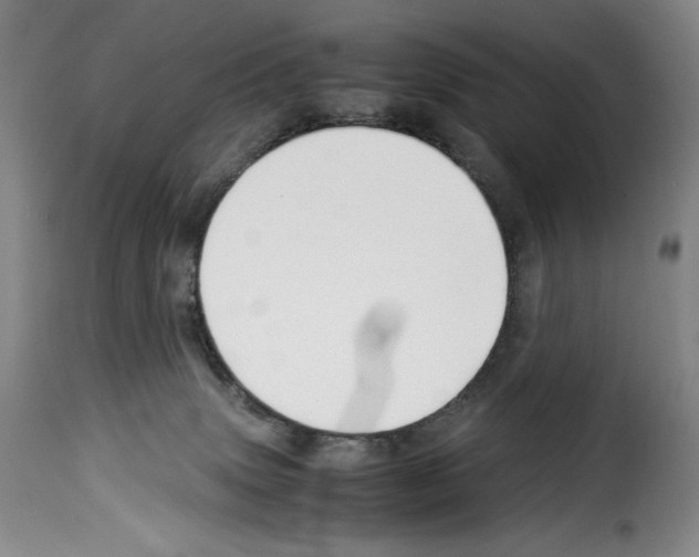 X0000114190083200911200946