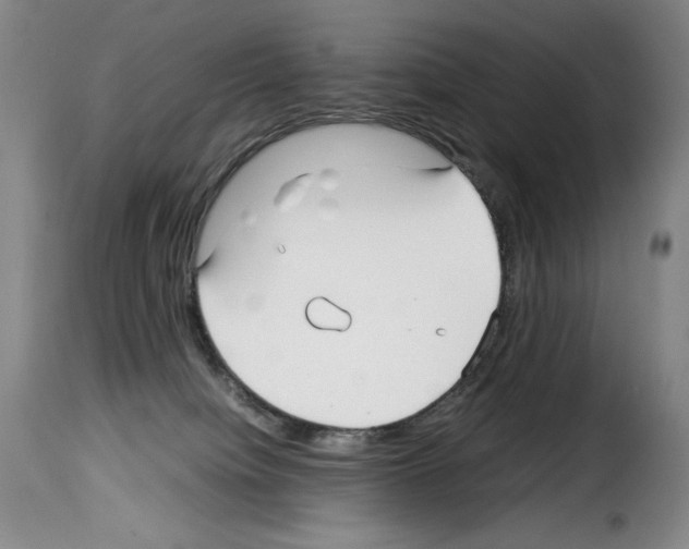 X0000114190084200911200946