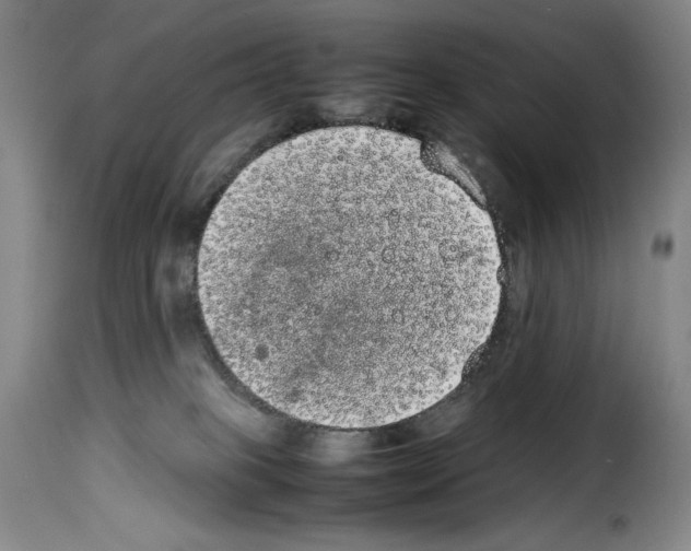 X0000114190085200911200946