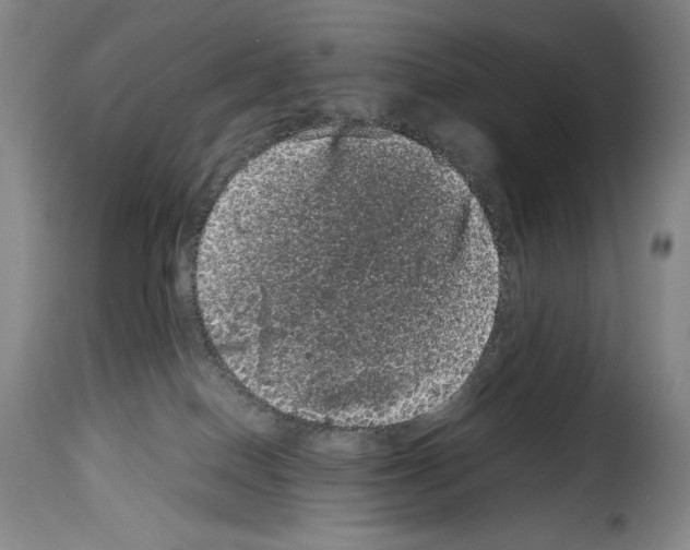 X0000114190086200911200946