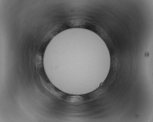 X0000114190087200911200946