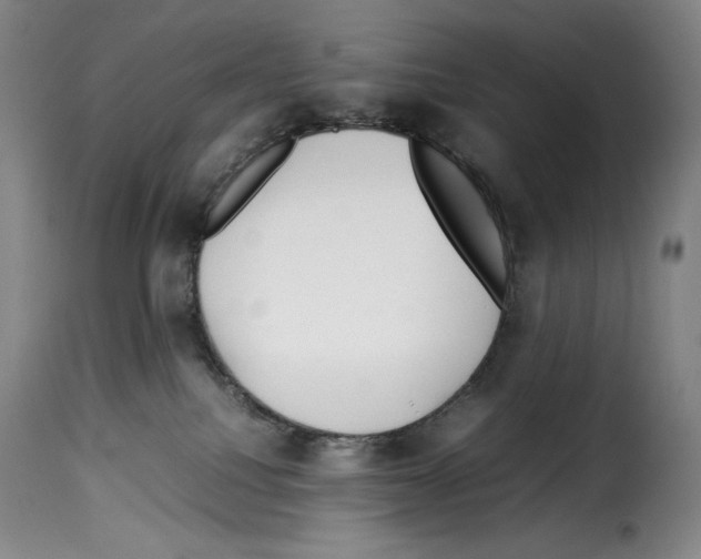 X0000114190088200911200946