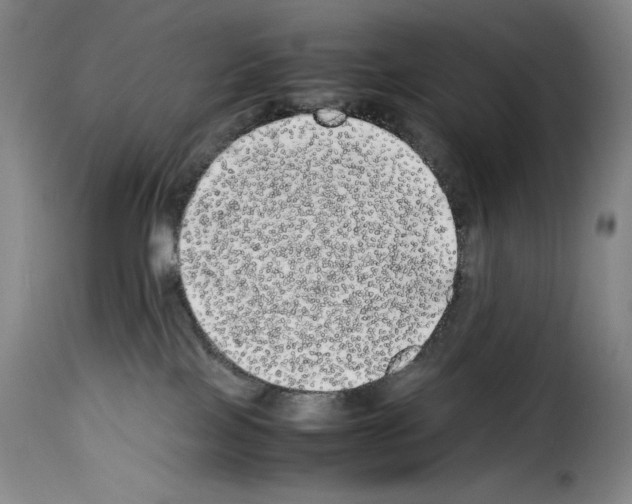 X0000114190089200911200946