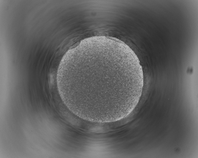 X0000114190090200911200946