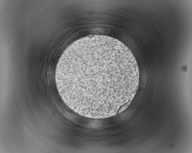 X0000114190091200911200946