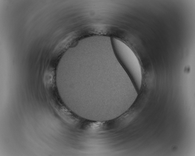 X0000114190092200911200946