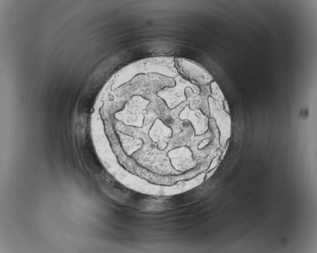 X0000114190093200911200946