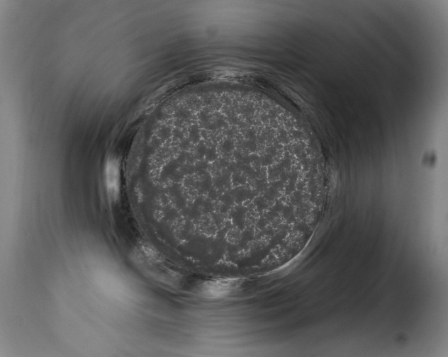 X0000114190094200911200946