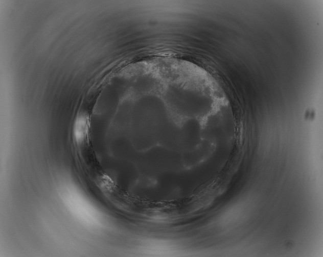 X0000114190095200911200946