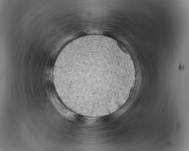 X0000114190096200911200946