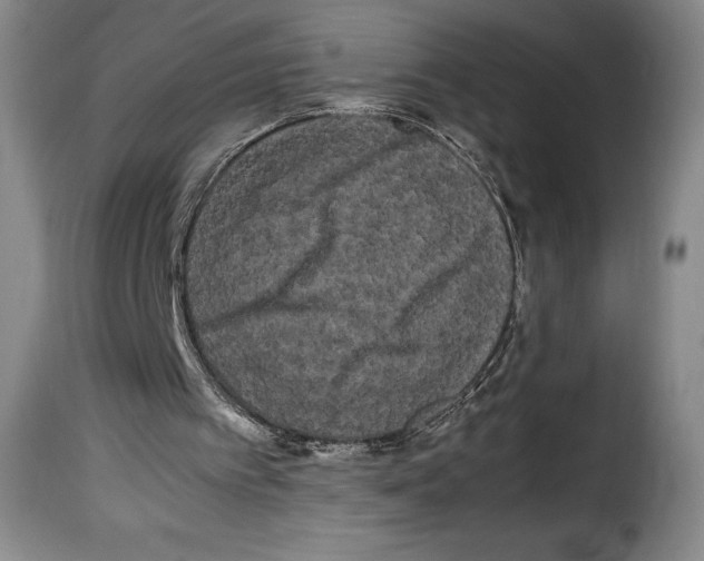 X0000114190097200911200946