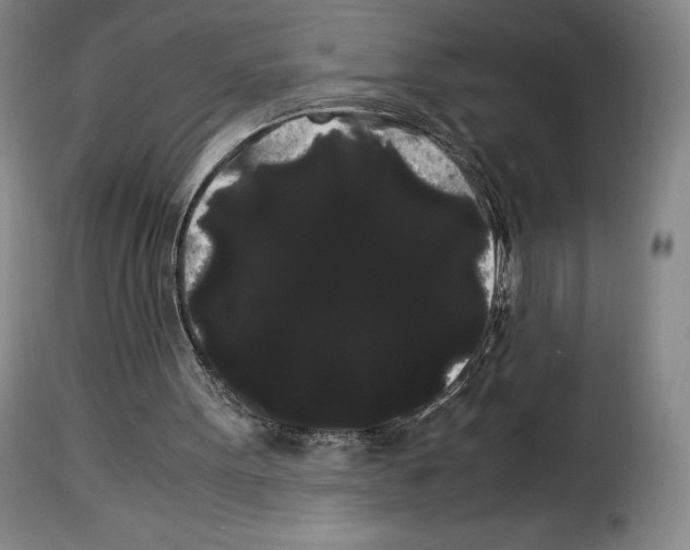 X0000114190099200911200945
