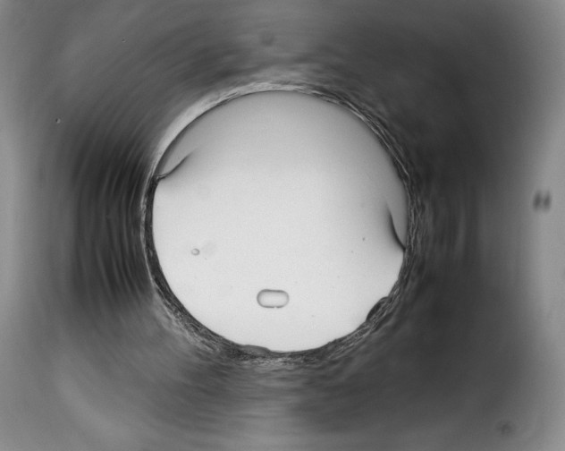 X0000114190100200911200945