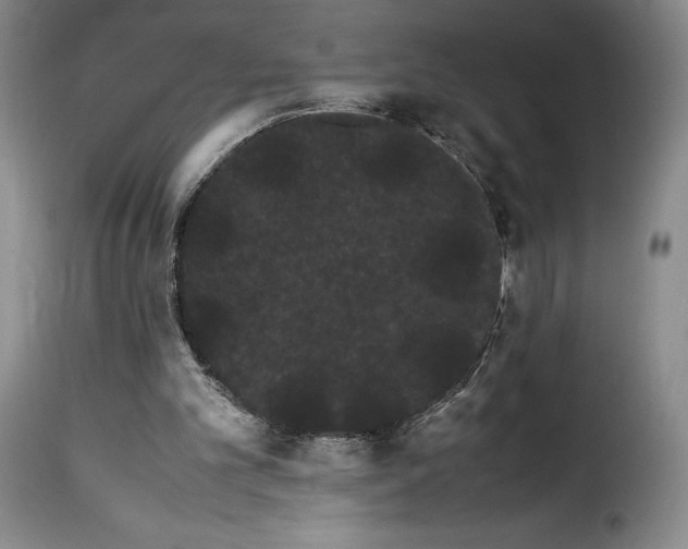 X0000114190101200911200945