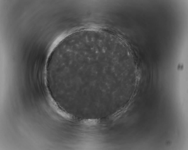 X0000114190102200911200945