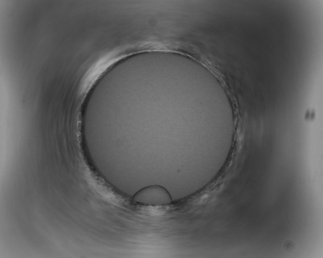 X0000114190103200911200945