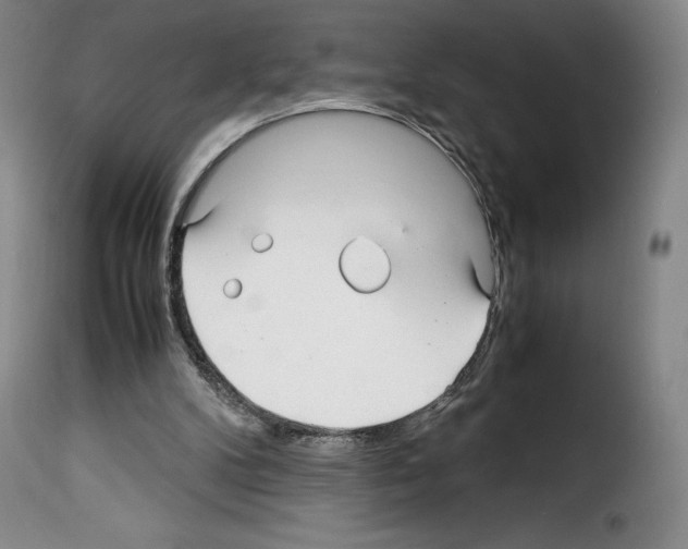 X0000114190104200911200945