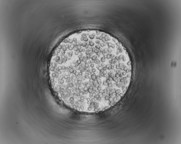 X0000114190107200911200945
