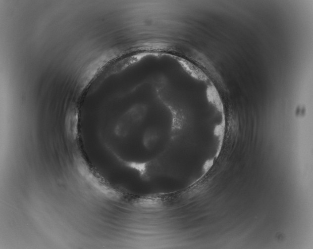 X0000114190110200911200945