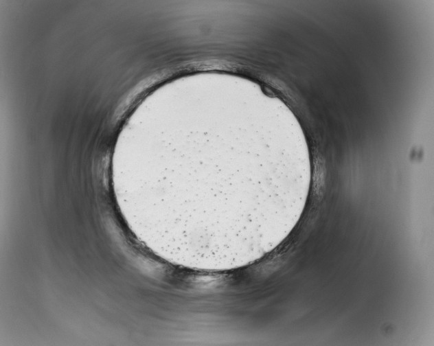 X0000114190111200911200945