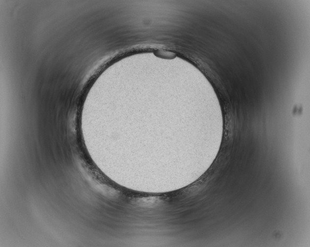 X0000114190112200911200945