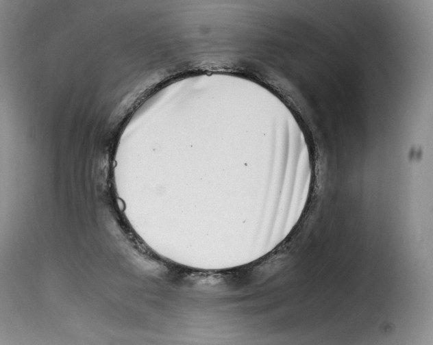 X0000114190113200911200945