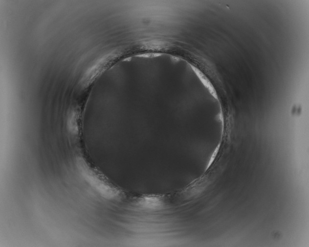 X0000114190114200911200945
