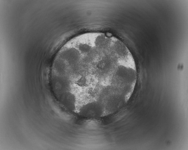 X0000114190115200911200945