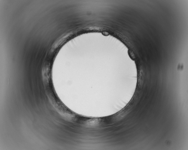X0000114190116200911200945