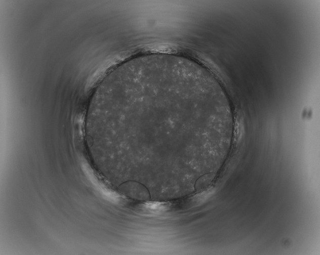 X0000114190117200911200945