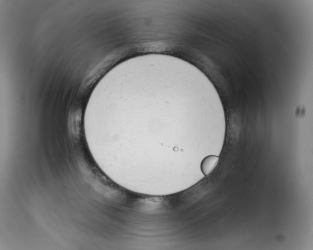 X0000114190118200911200945