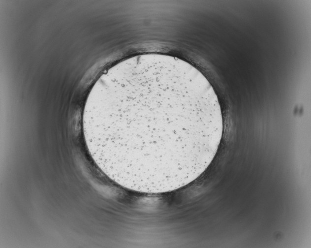 X0000114190119200911200945