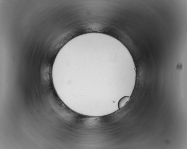 X0000114190122200911200945