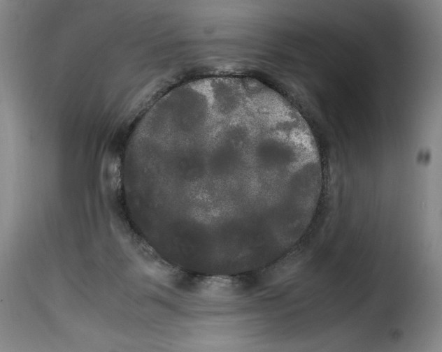 X0000114190123200911200945