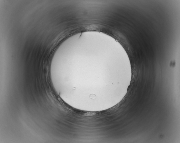 X0000114190124200911200945