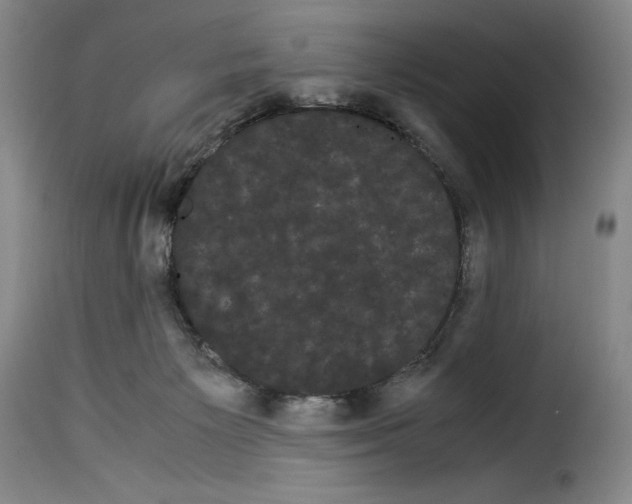 X0000114190125200911200945