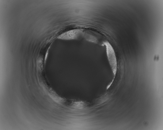 X0000114190127200911200945