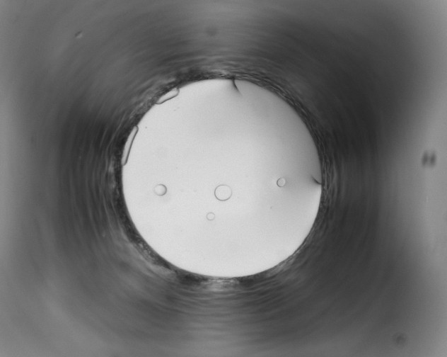 X0000114190128200911200945