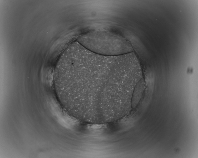 X0000114190129200911200945