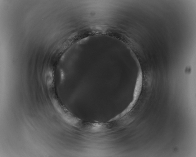X0000114190130200911200945