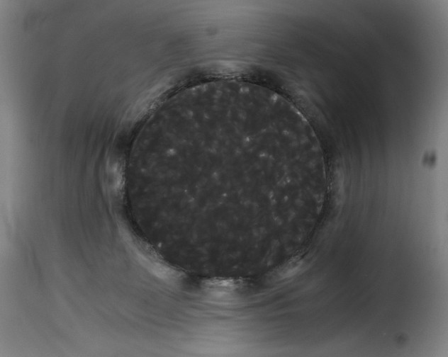 X0000114190131200911200945