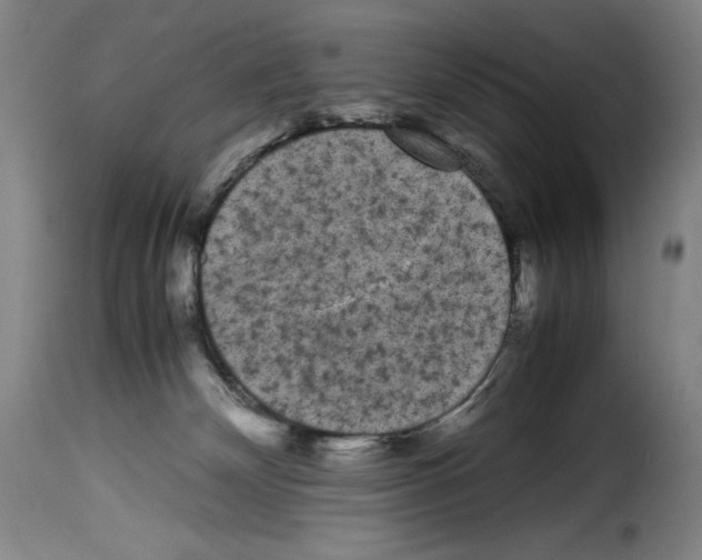 X0000114190132200911200945